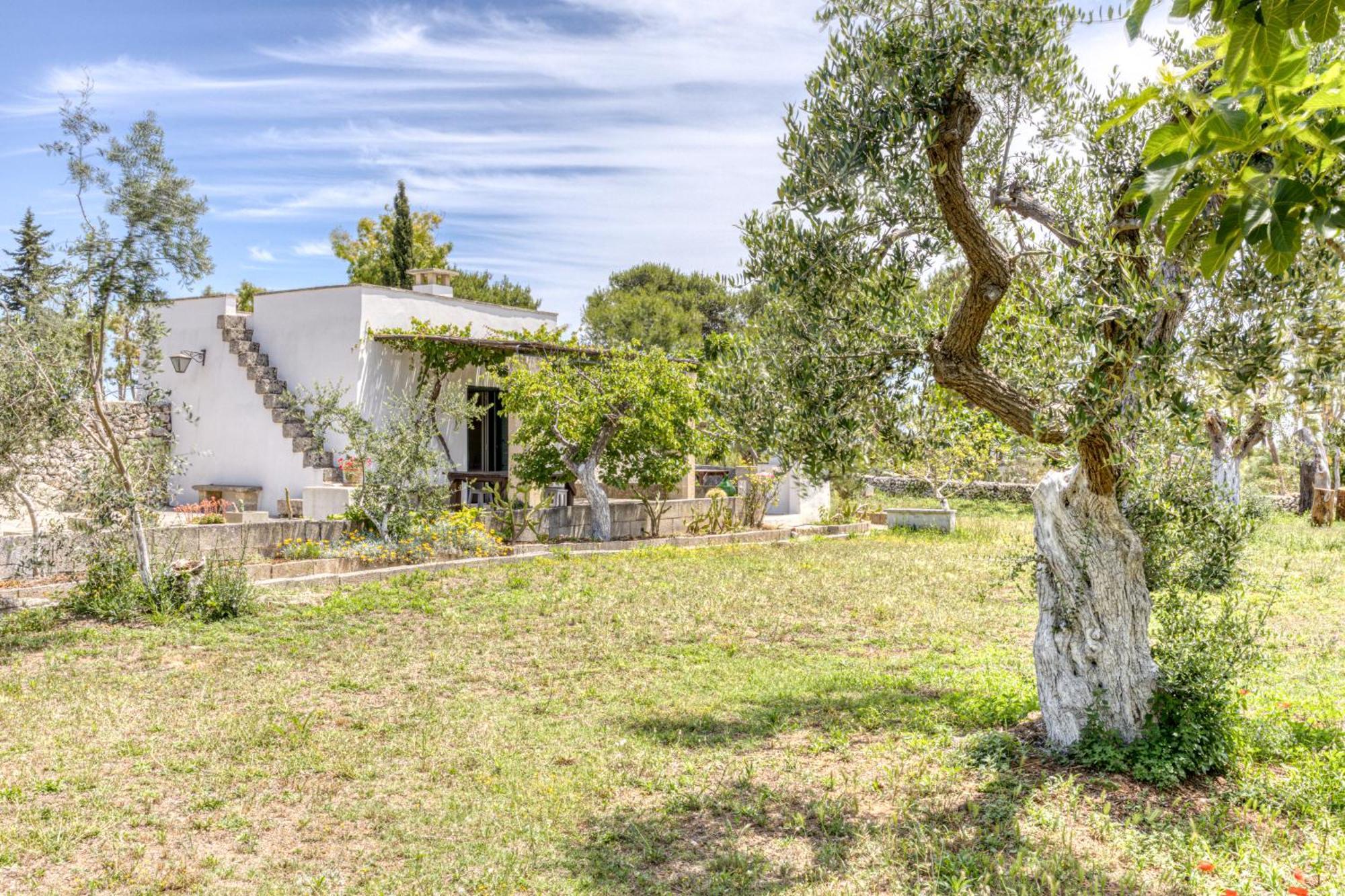 אלסאנו Biomasseria Santa Lucia מראה חיצוני תמונה